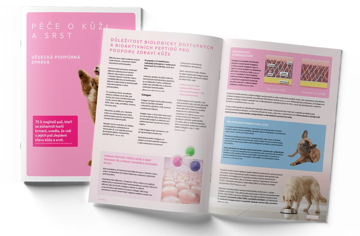 Skin-Coat-Technical-Guide